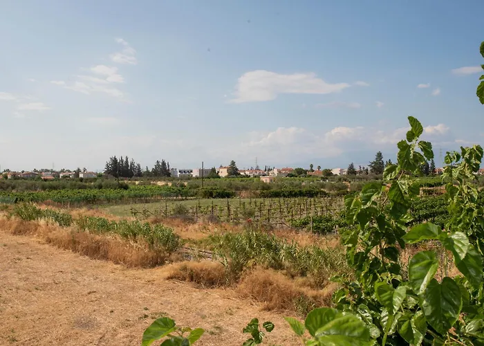 καλοκαιρινό σπίτι για 9 άτομα στον άσσο - θάλασσα Като-Ассос